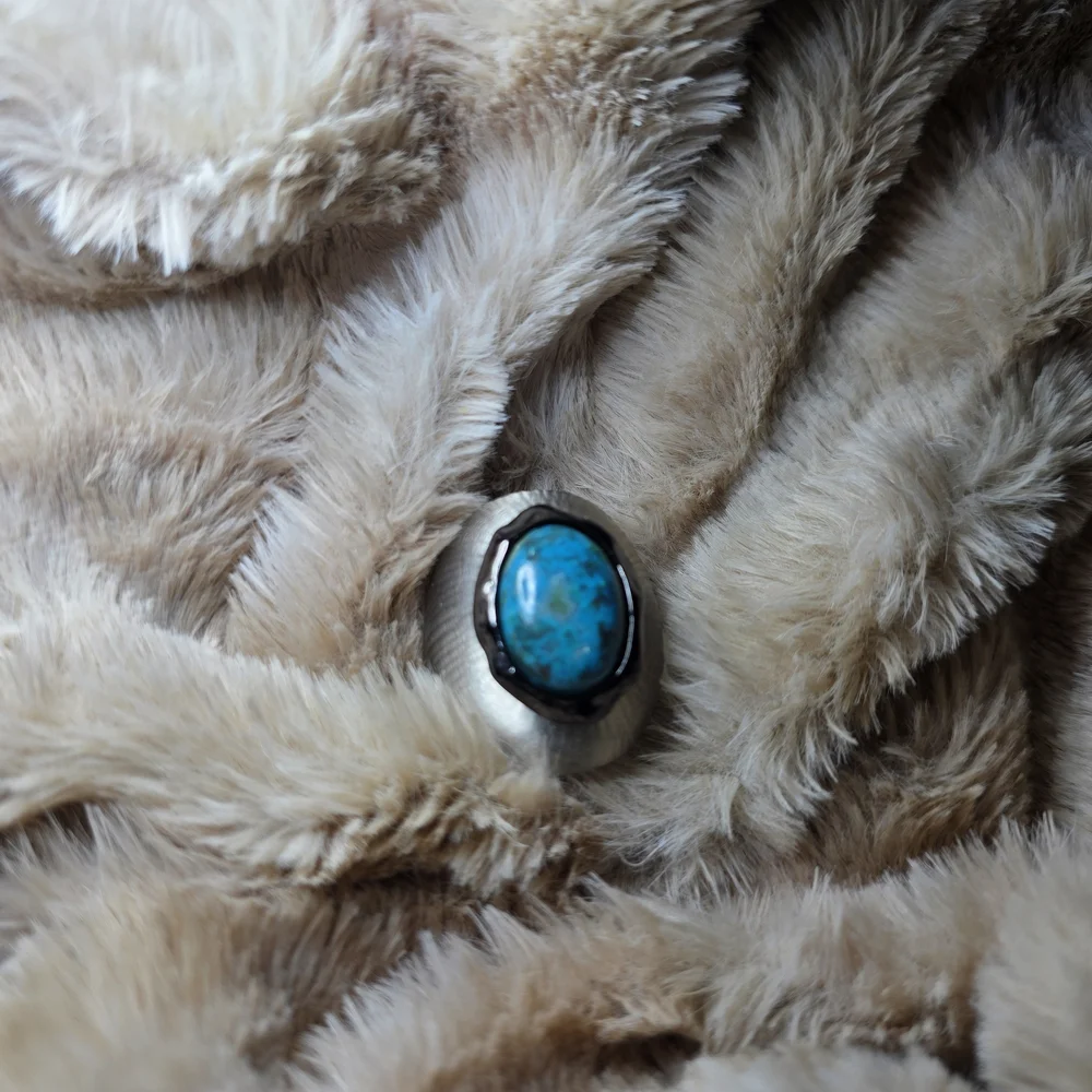 Alexis Bittar authentic alexis
